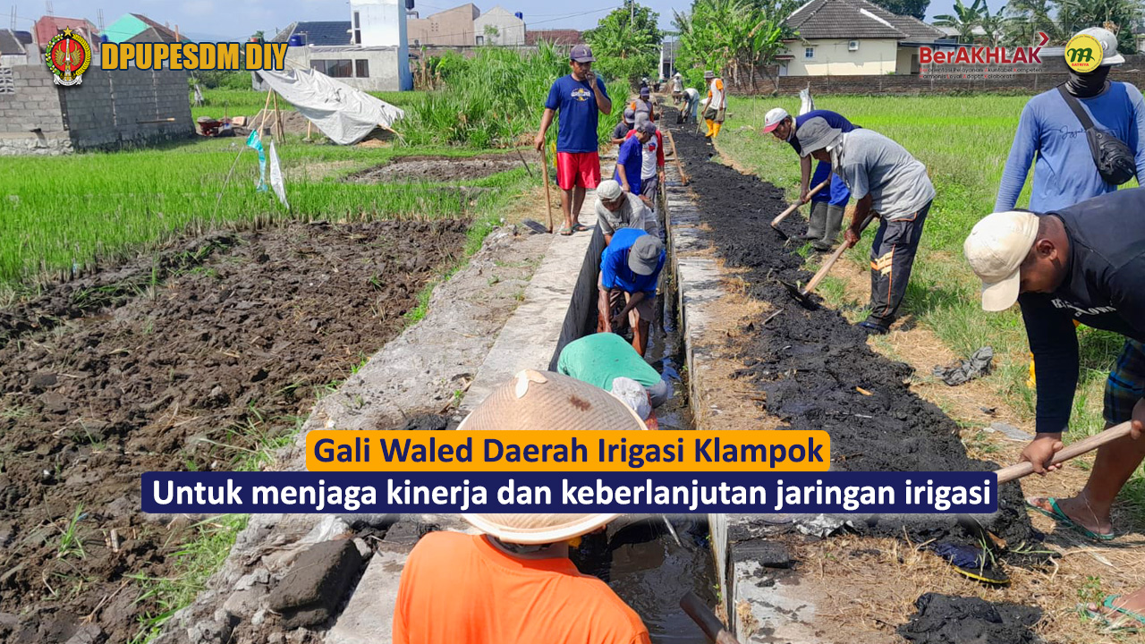 petani pamakai air melakukan kegiatan gali waled untuk membersihkan irigasi klampok