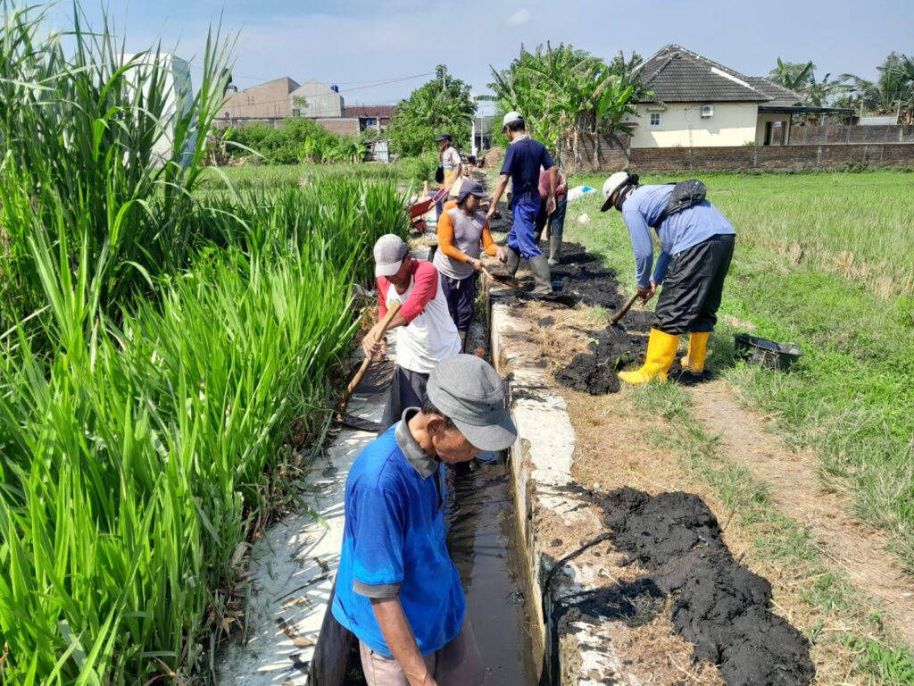 petani pamakai air melakukan kegiatan gali waled untuk membersihkan irigasi klampok